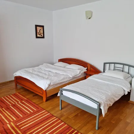 Guest house Pensiunea Roua