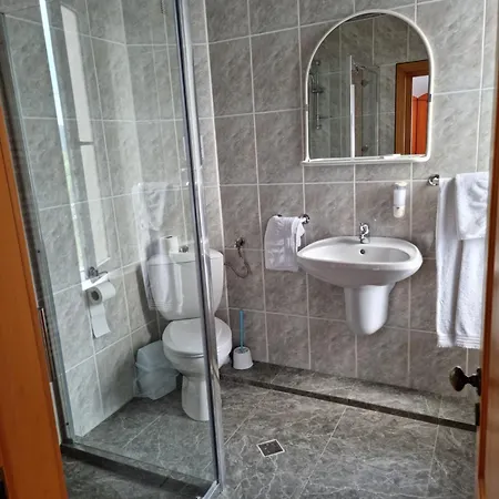 Pensiunea Roua 3*