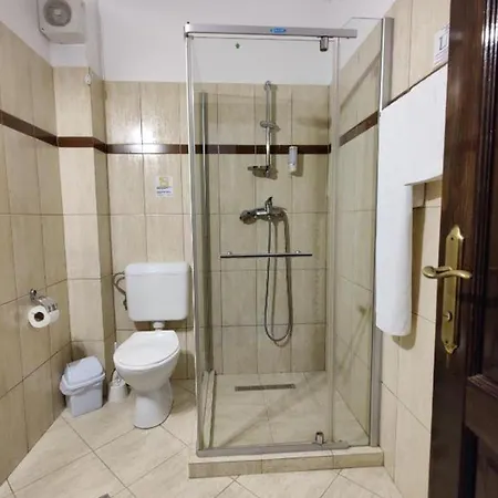 Pensiunea Roua 3*