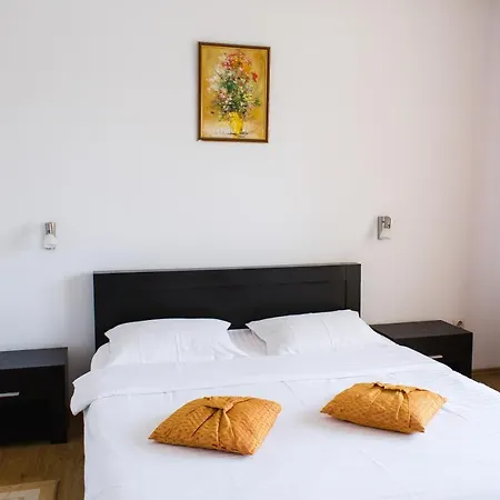 Pensiunea Roua Guest house Piatra Neamt