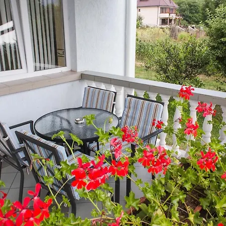 Guest house Pensiunea Roua 3*