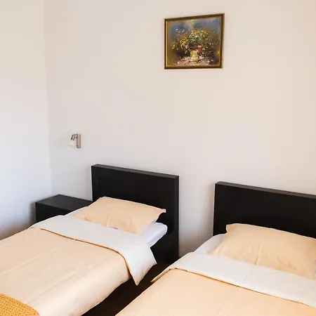 Pensiunea Roua Guest house