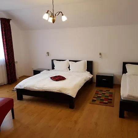 Pensiunea Roua 3*